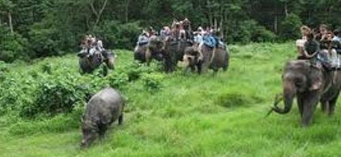 Elpehant Safari Picture in Chitwan